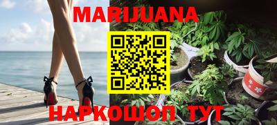 гидропоника Кингисепп