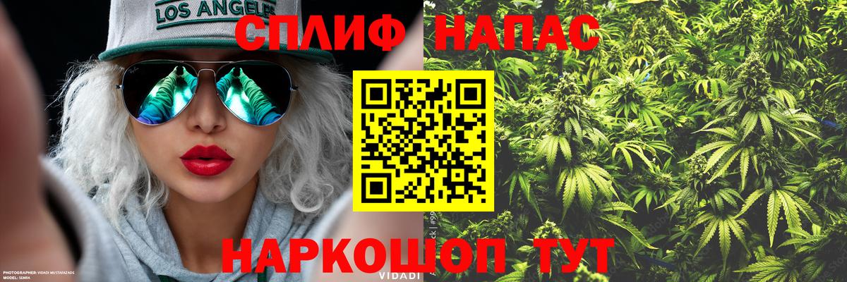 Конопля индика  Вход с VPN  Канабис план  Алапаевск  Шишки марихуана планчик  Конопля OG Kush 